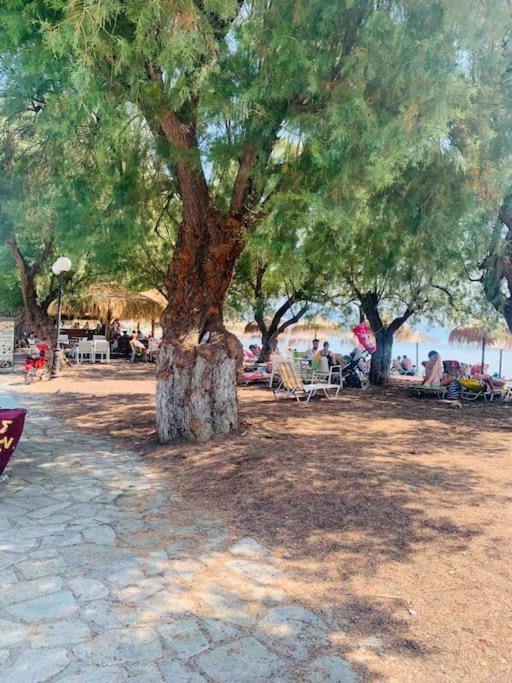 Villa ,,Sea Breeze,, - Home By The Sea Νέα Αγχίαλος Εξωτερικό φωτογραφία