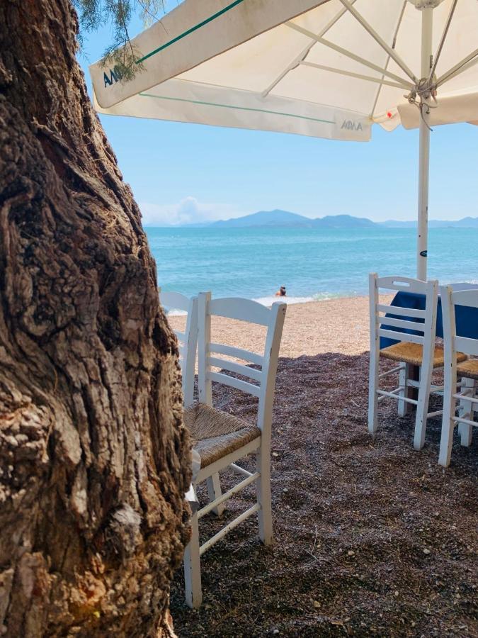 Villa ,,Sea Breeze,, - Home By The Sea Νέα Αγχίαλος Εξωτερικό φωτογραφία